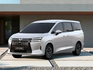 Эва-коврики на Wuling Starlight 730